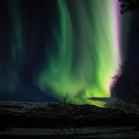 Sorrisniva Arctic Wilderness 3*