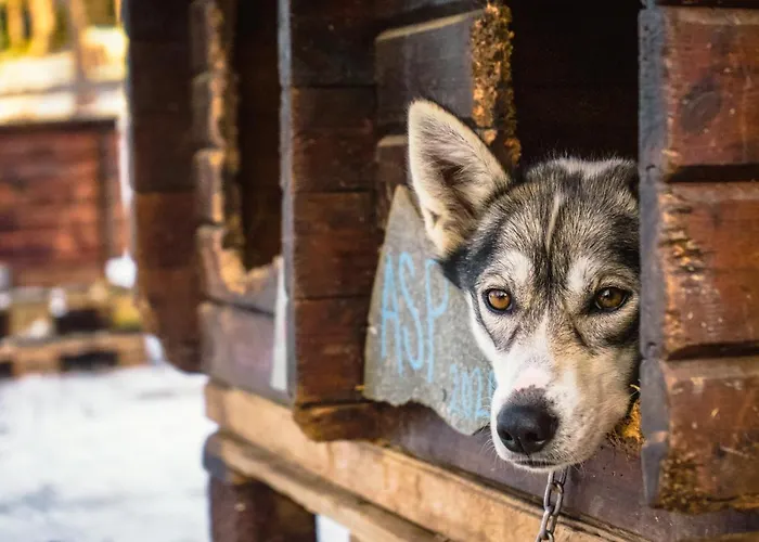 Resort Sorrisniva Arctic Wilderness Alta